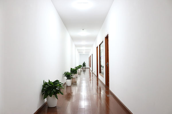 Company environment